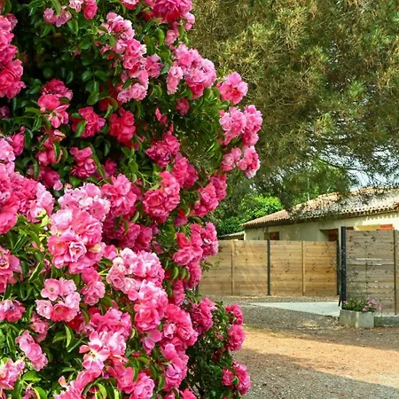 Domaine Les Rousselieres Villa Olonne-sur-Mer Exterior photo