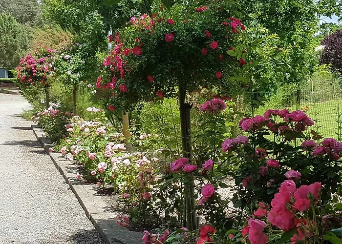 Domaine Les Rousselieres