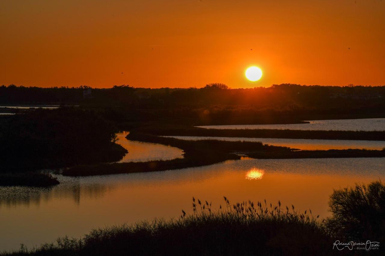 Domaine Les Rousselieres * Olonne-sur-Mer