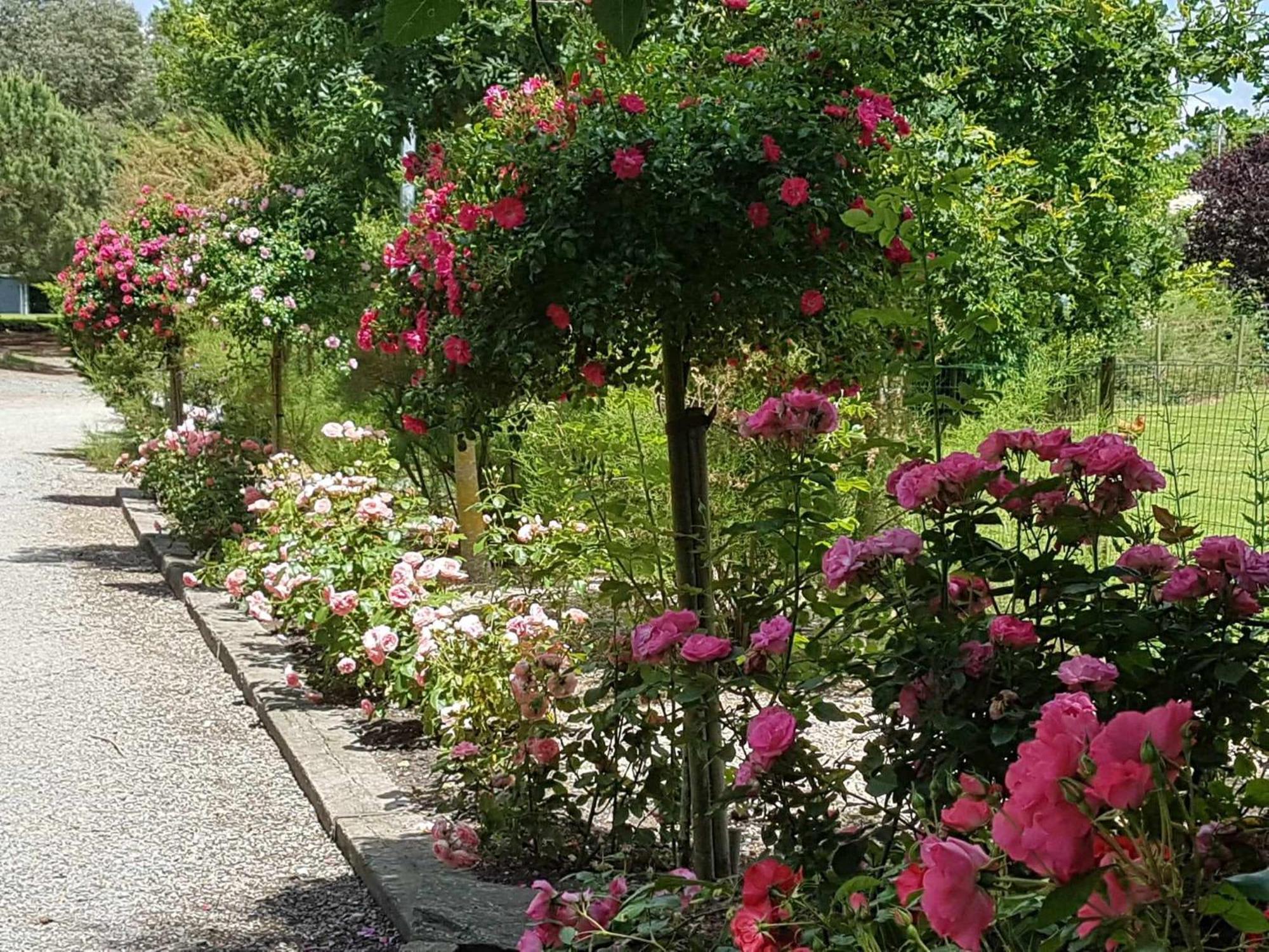 Domaine Les Rousselieres *