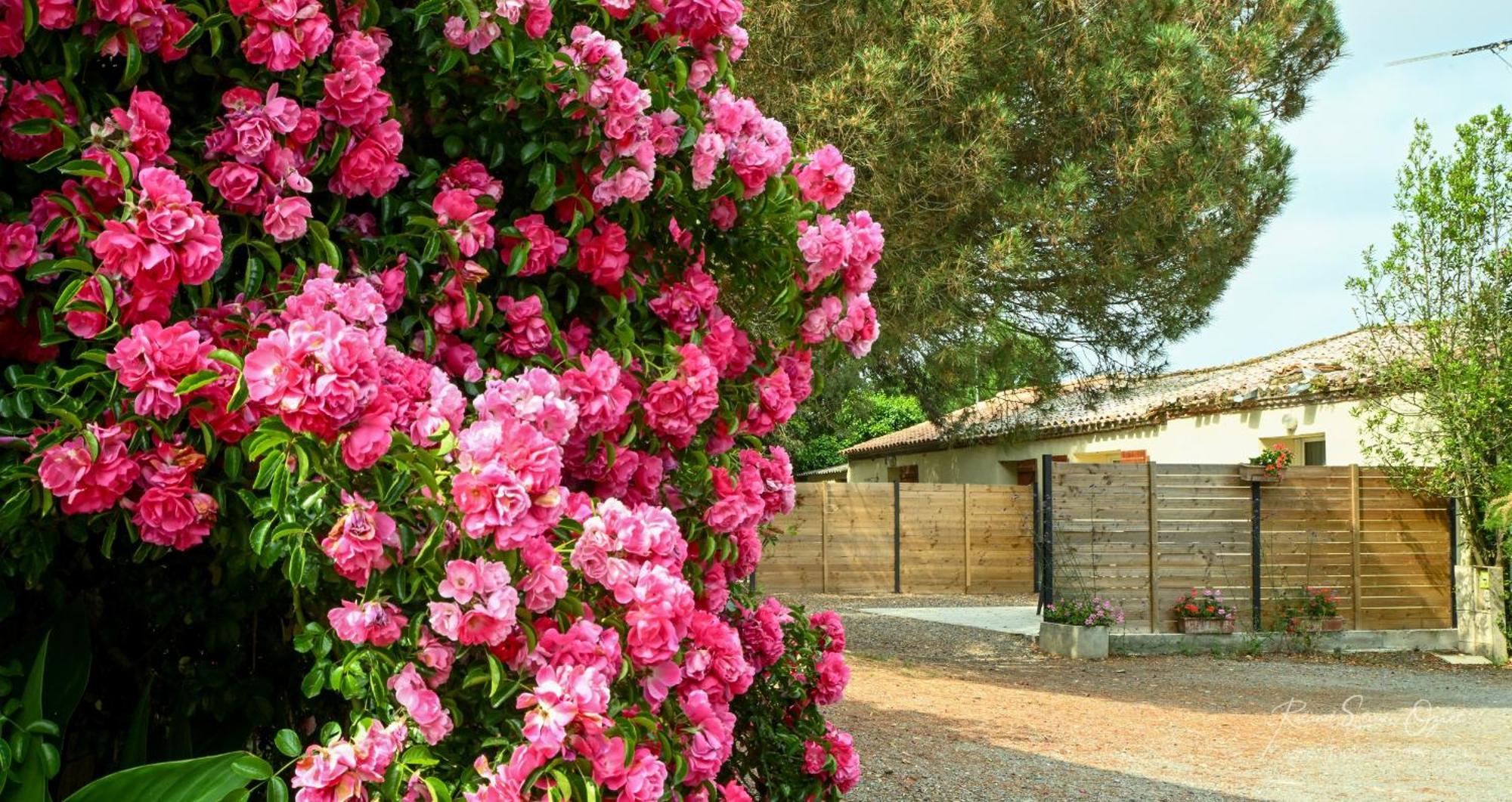 Holiday home Domaine Les Rousselieres