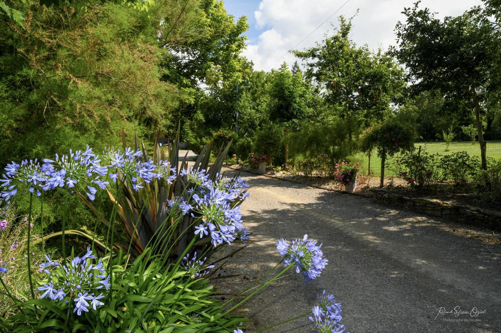 Domaine Les Rousselieres Holiday home Olonne-sur-Mer
