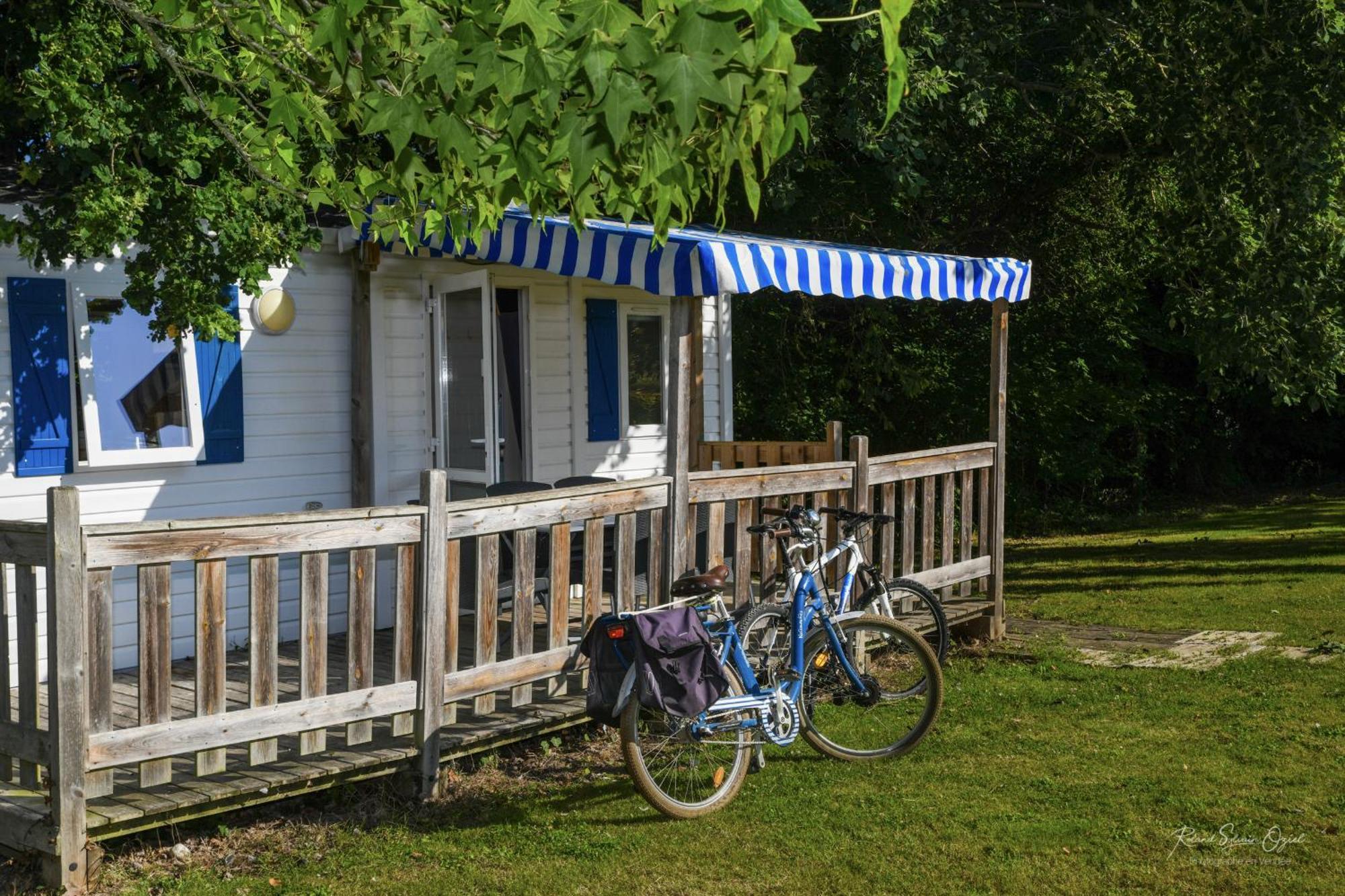 Holiday home Domaine Les Rousselieres *